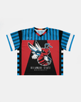 Delaware State University - Phenom HBCU Box Football Jersey