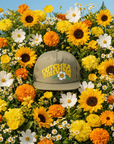 WTLB - Outchea Thriving - Olive