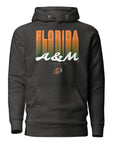 The Yard Essentials - Florida A&M University - FAMU Fade Hoodie