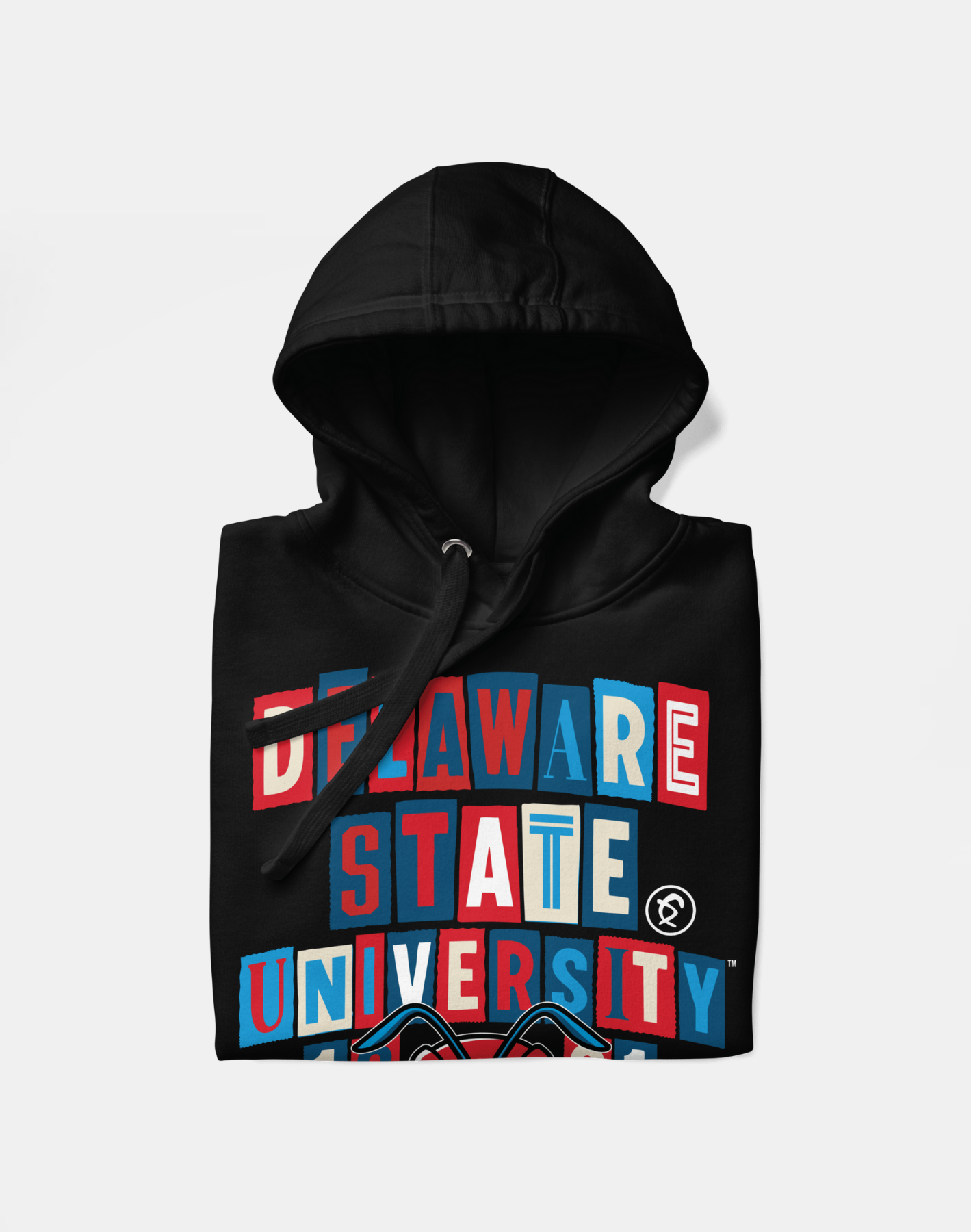 Delaware State University - Collage Hoodie