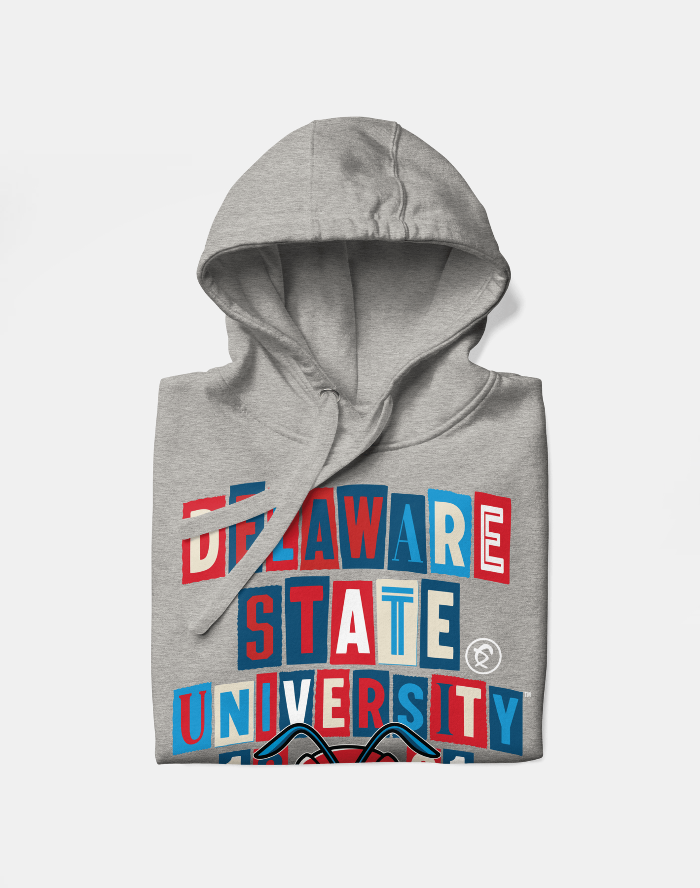 Delaware State University - Collage Hoodie