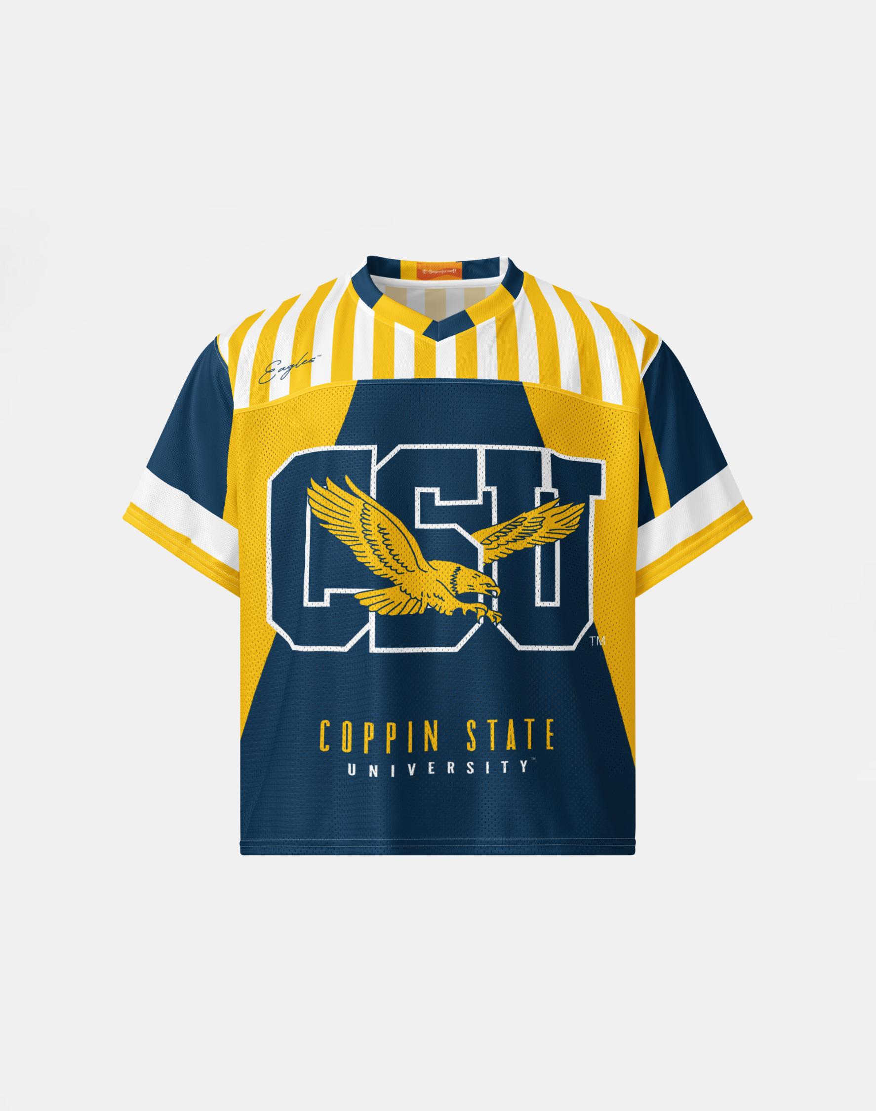 Coppin State University - Collage Hoodie