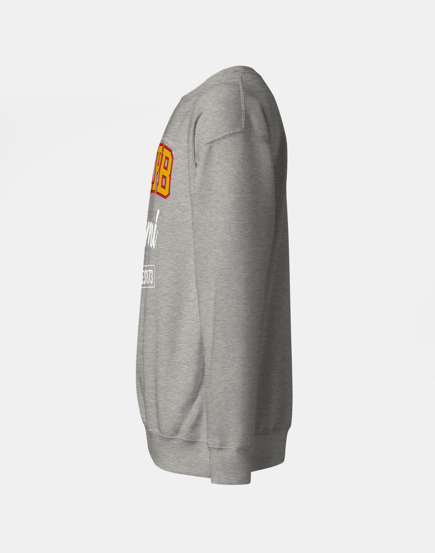University of Arkansas Pine Bluff (UAPB) - The Family - Sweatshirt