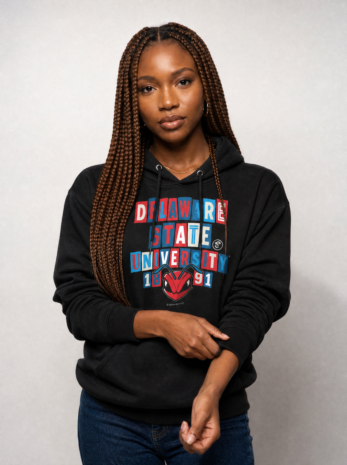 Delaware State University - Collage Hoodie