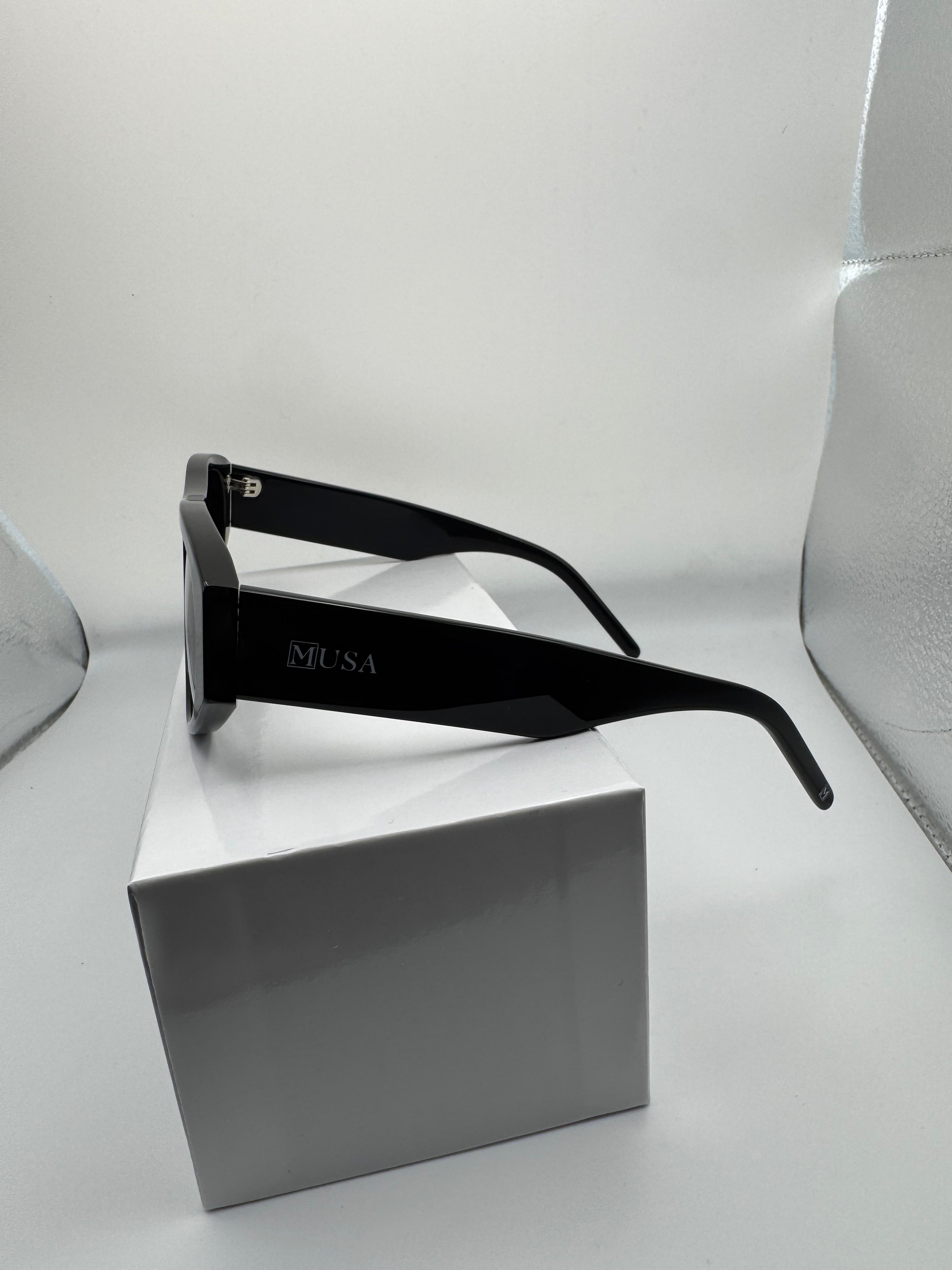 Ejisu All-Black Statement Sunglasses