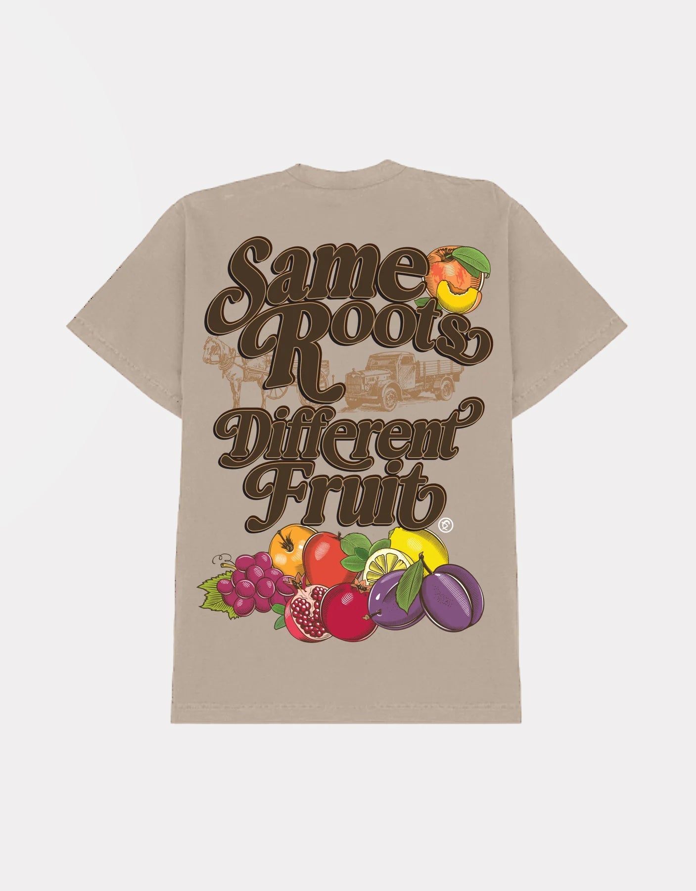 Same Roots, Different Fruit - Premium Tee Shirt