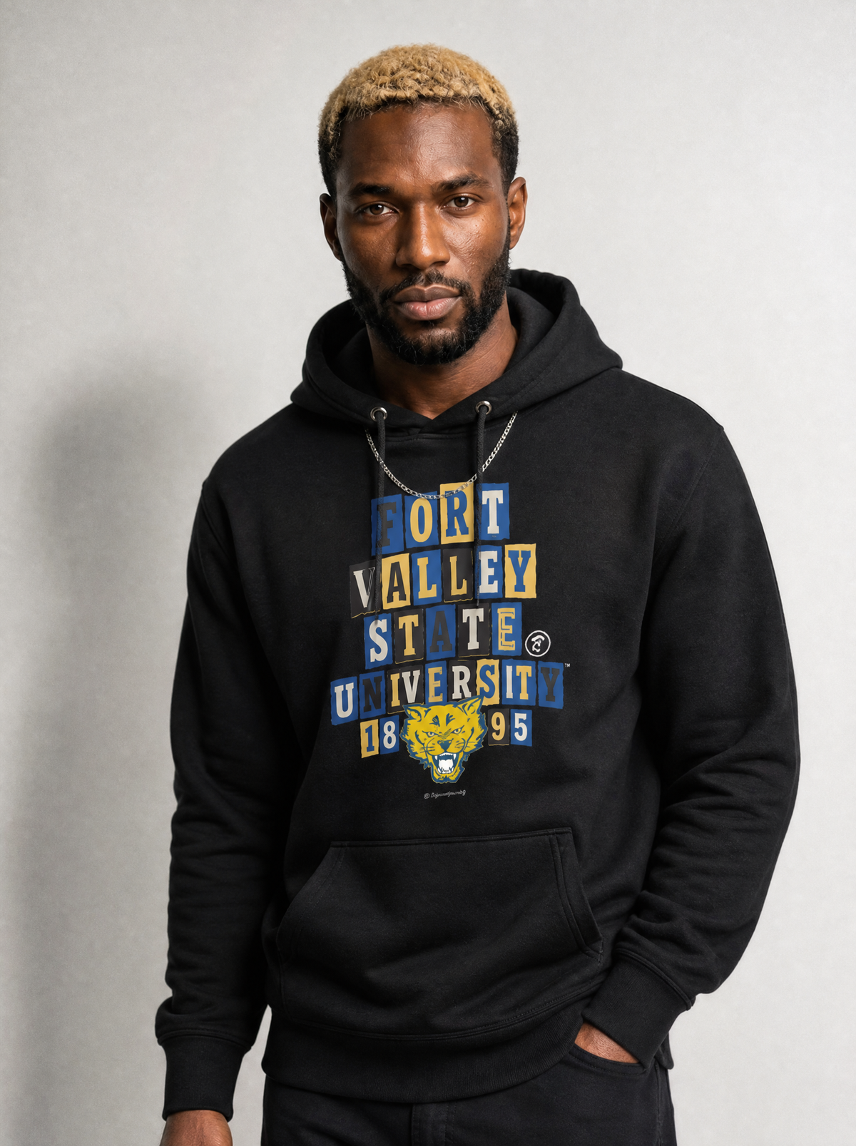 Fort Valley State University - Collage Hoodie