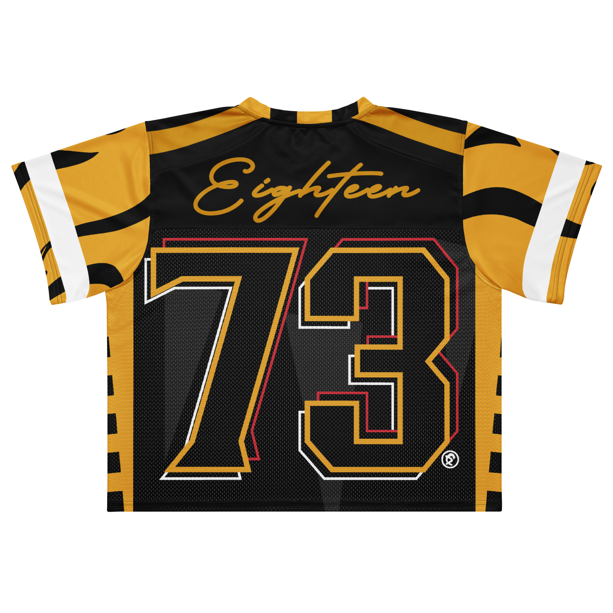 University of Arkansas Pine Bluff - Phenom HBCU Box Football Jersey