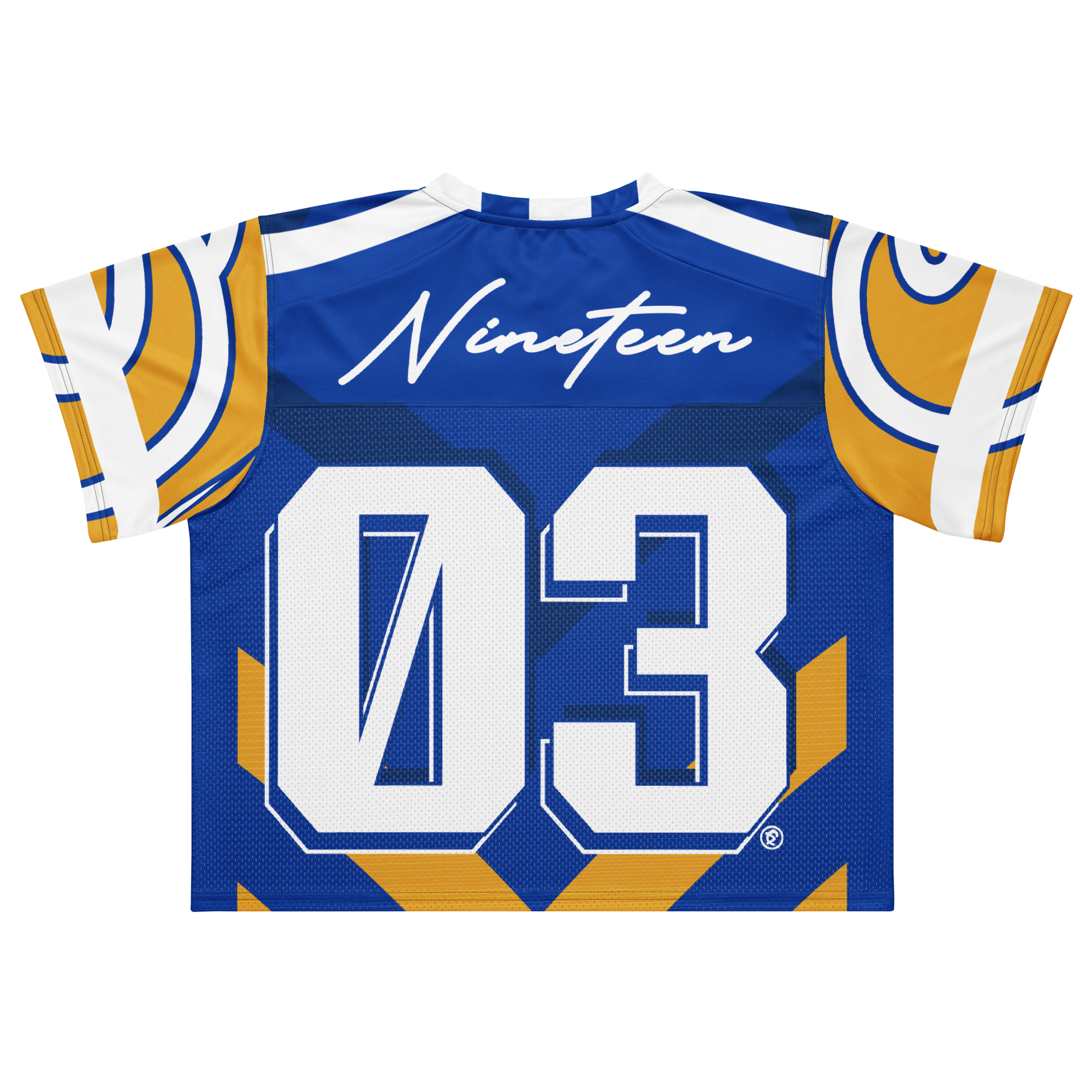Albany State University - Phenom HBCU Box Football Jersey