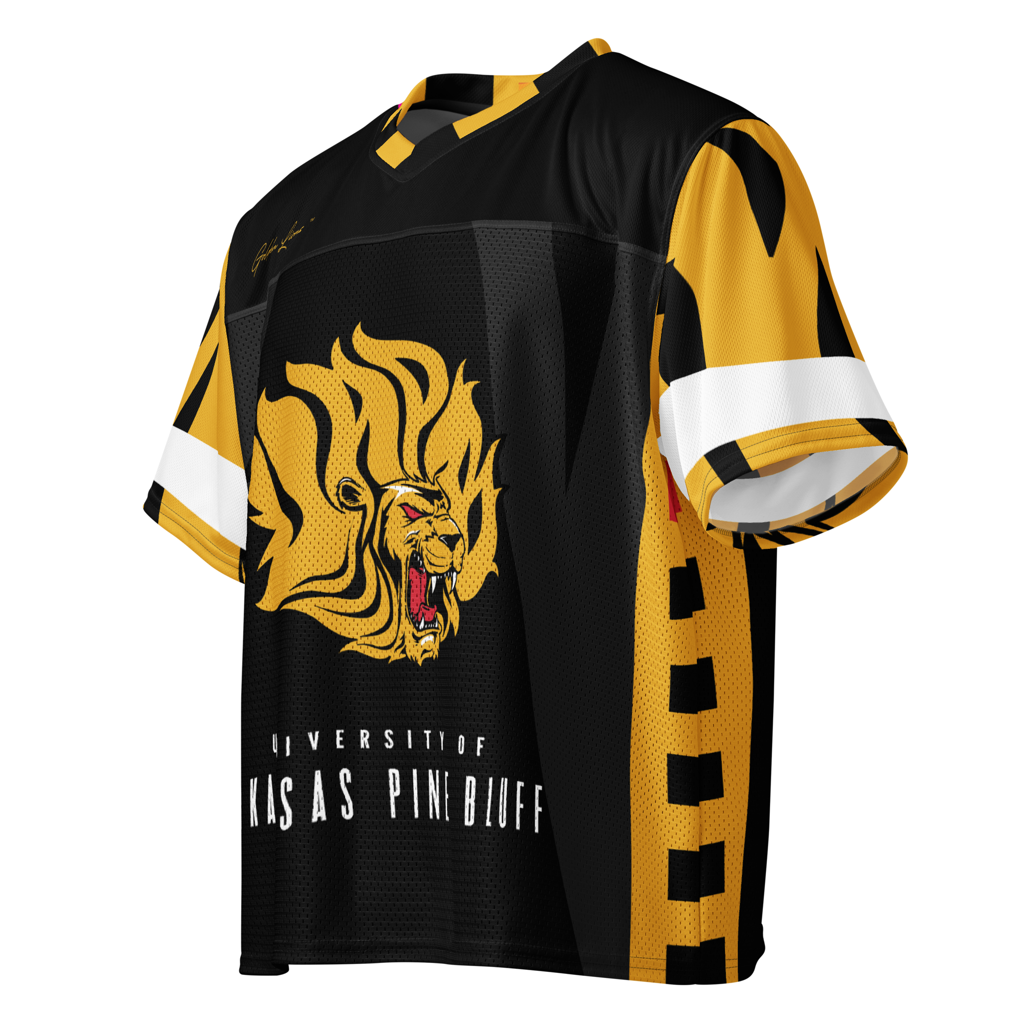 University of Arkansas Pine Bluff - Phenom HBCU Box Football Jersey