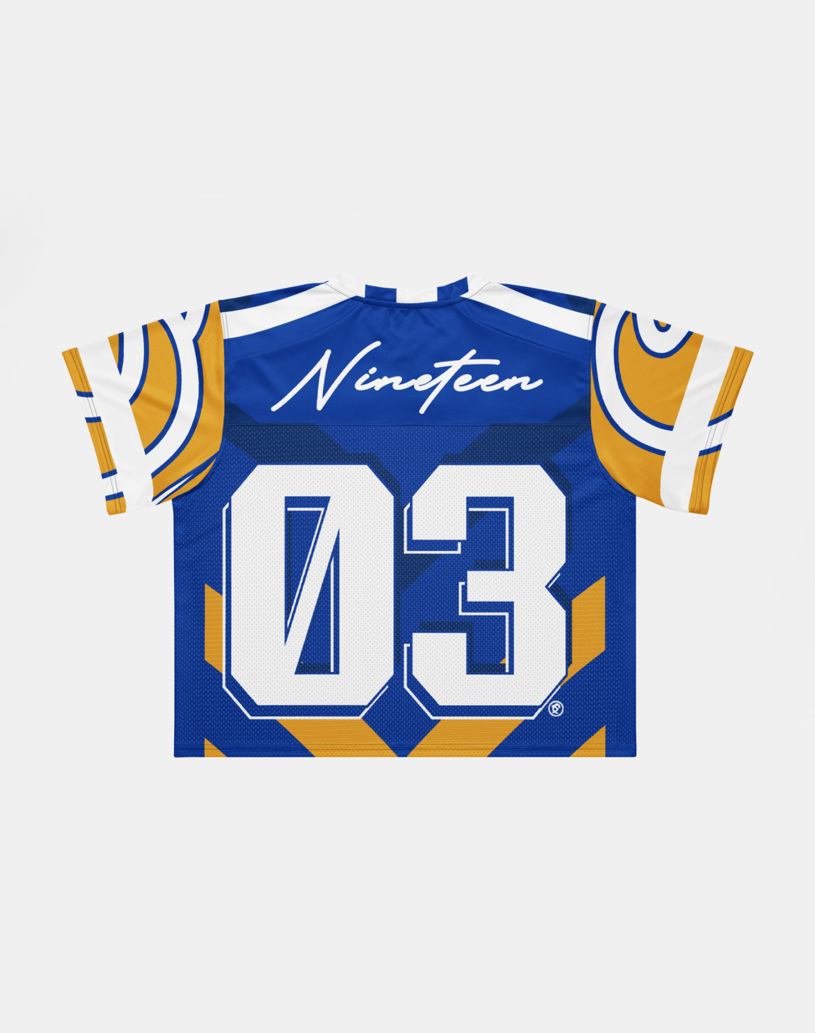 Albany State University - Phenom HBCU Box Football Jersey