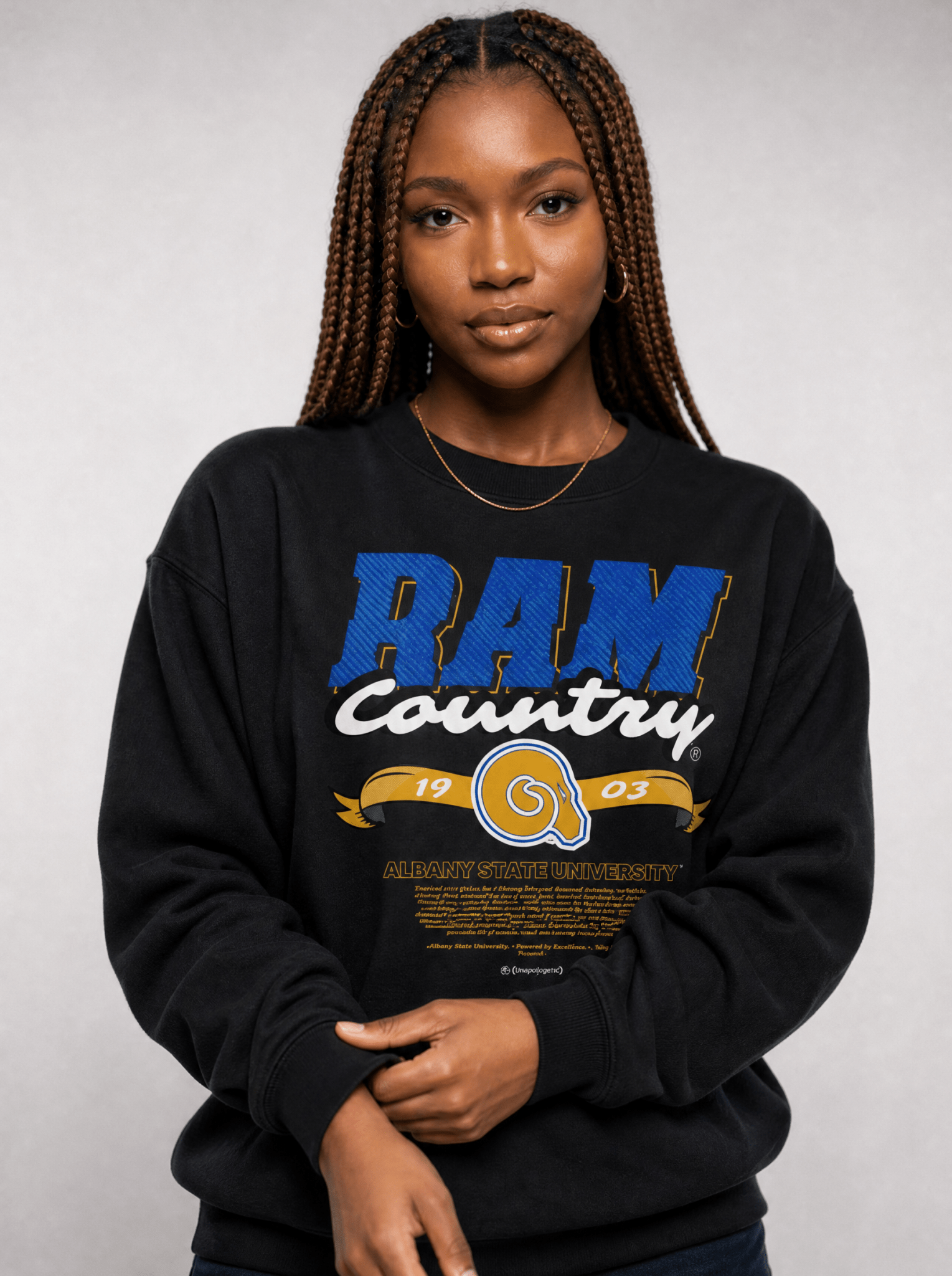 Dungeon Forward - Albany State University - Ram Country - Classic Sweatshirt