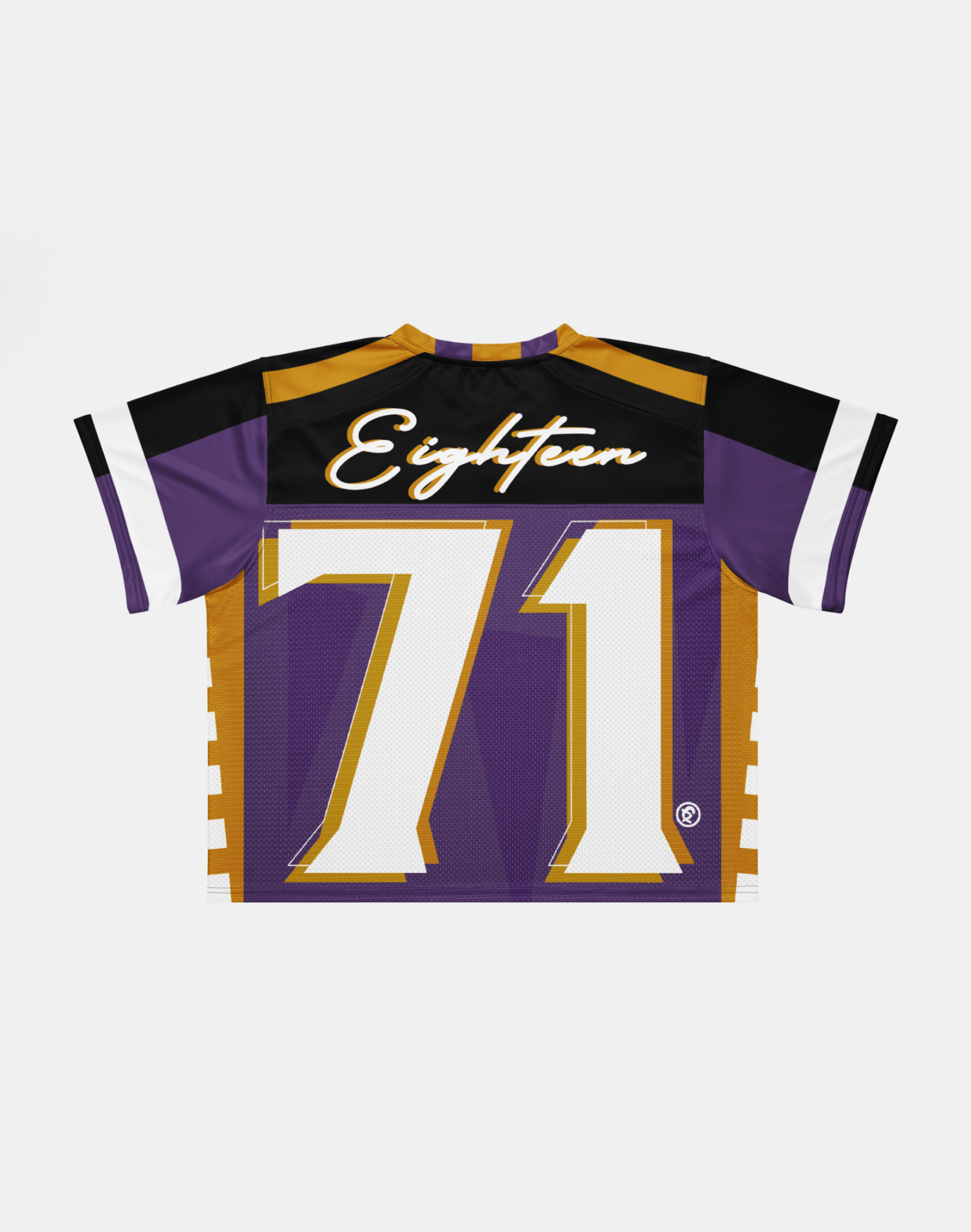 Alcorn State University - Phenom HBCU Box Jersey