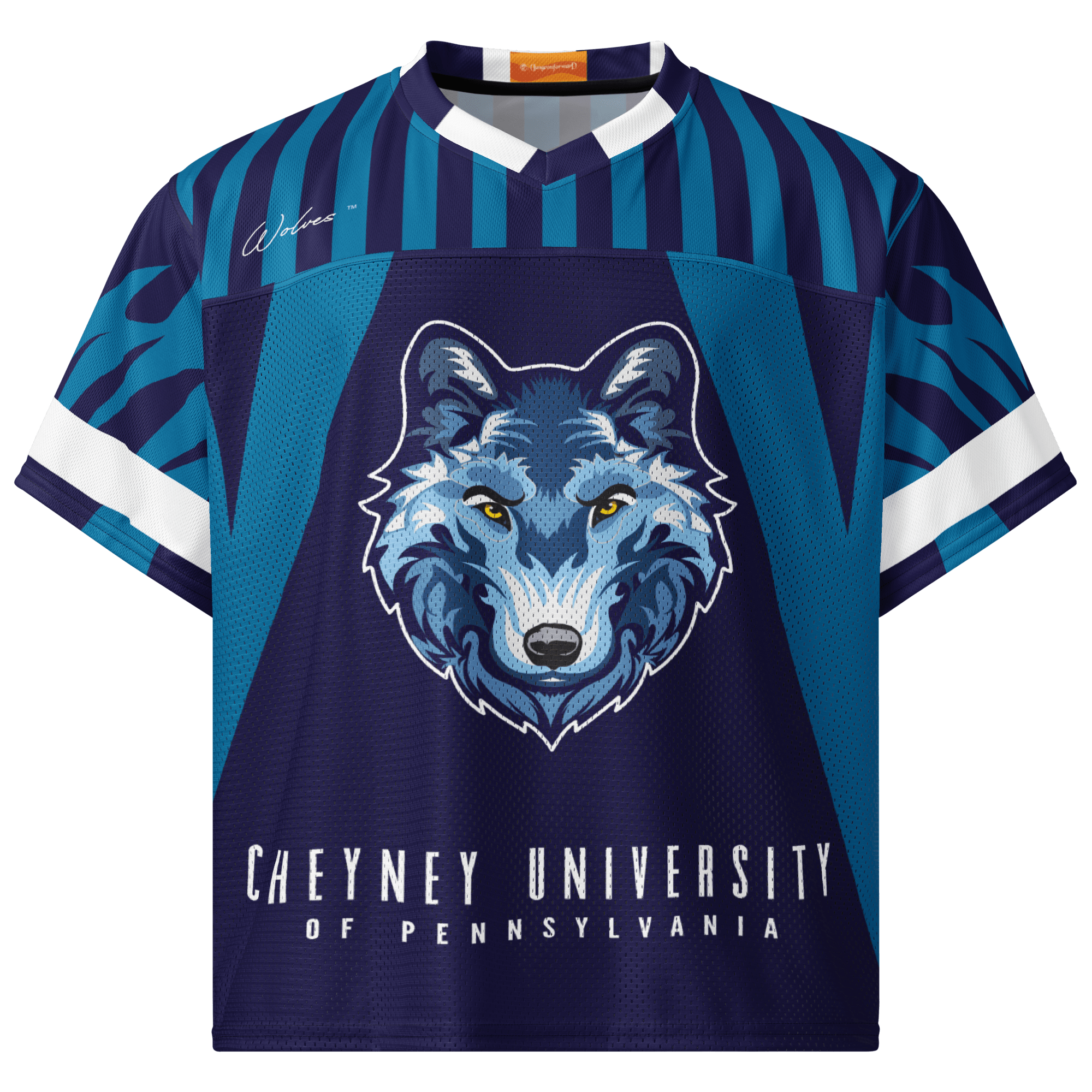 Cheyney University - Phenom HBCU Box Football Jersey