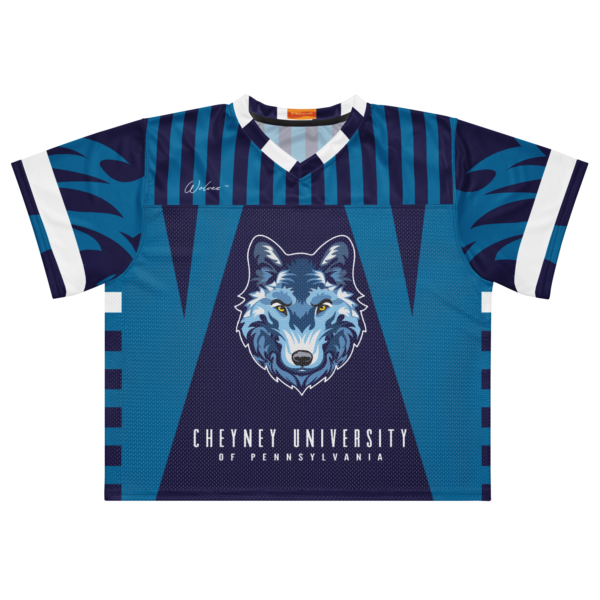 Cheyney University - Phenom HBCU Box Football Jersey