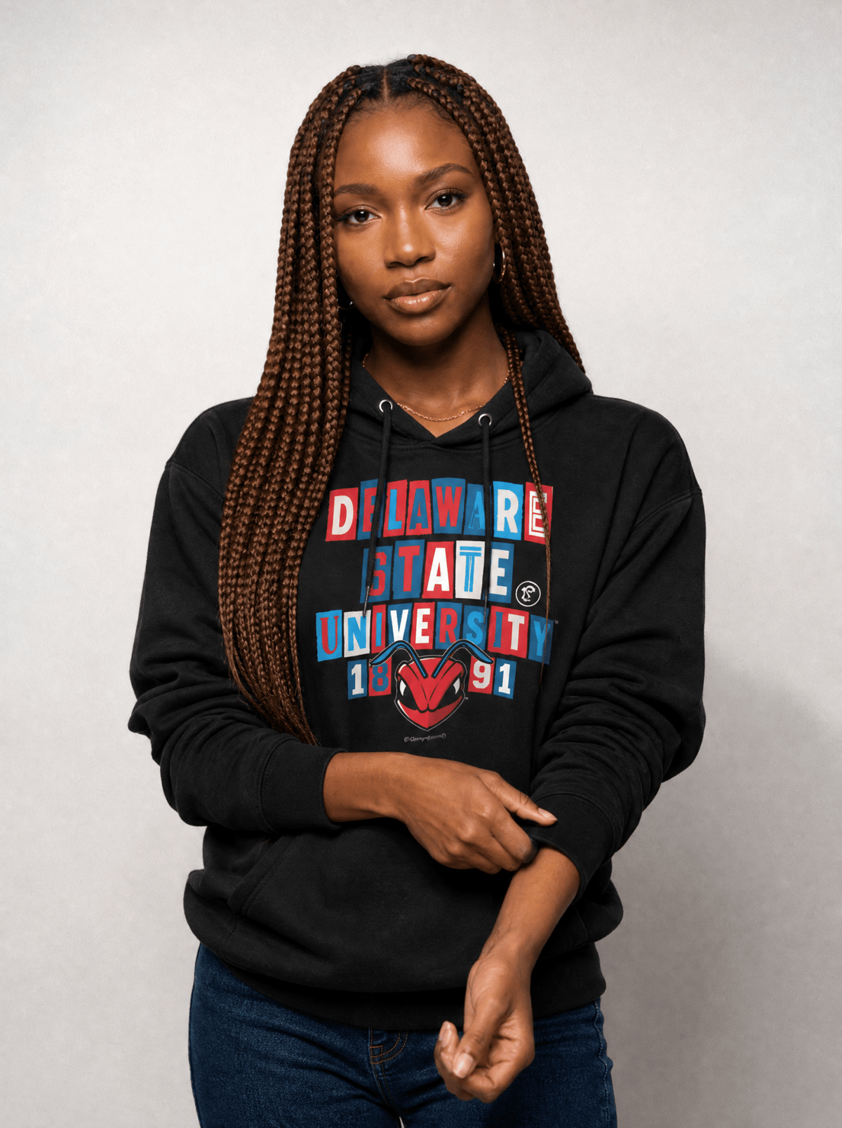 Delaware State University - Collage Hoodie