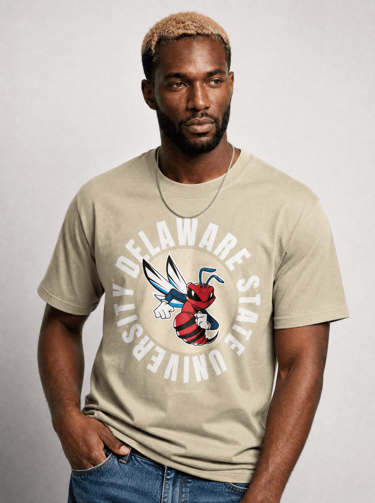 The Yard Essentials - Delaware State University - DSU Oversized Faded T-Shirt