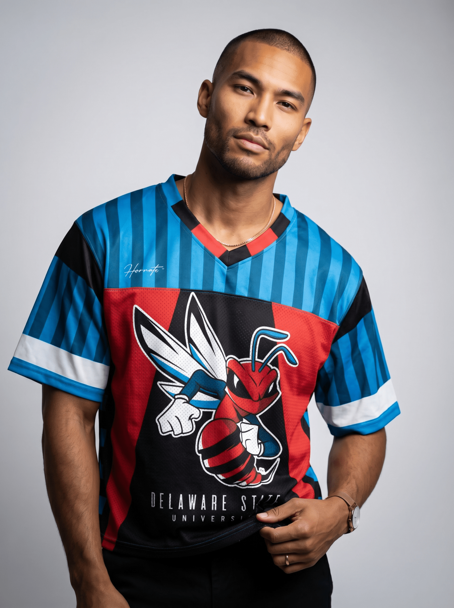 Delaware State University - Phenom HBCU Box Football Jersey
