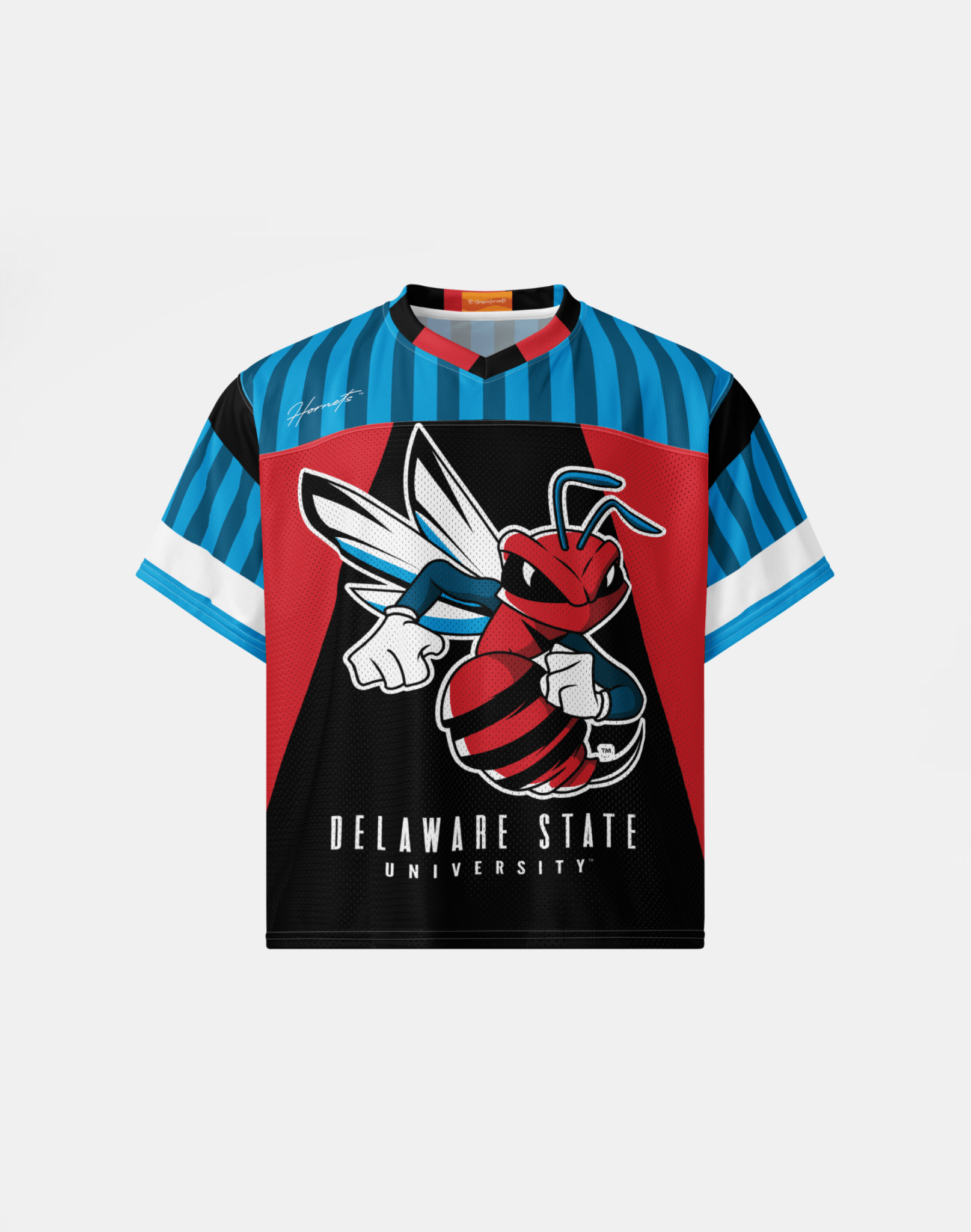 Delaware State University - Phenom HBCU Box Football Jersey