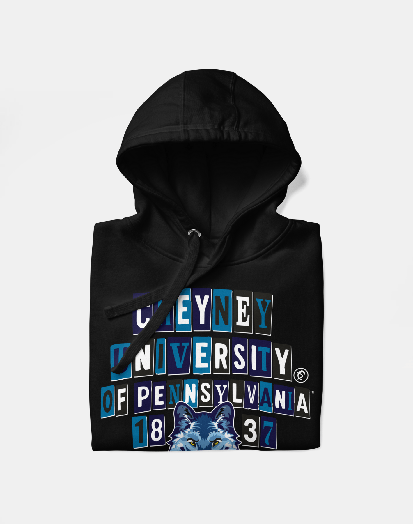 Cheyney University of Pennsylvania - Collage Hoodie