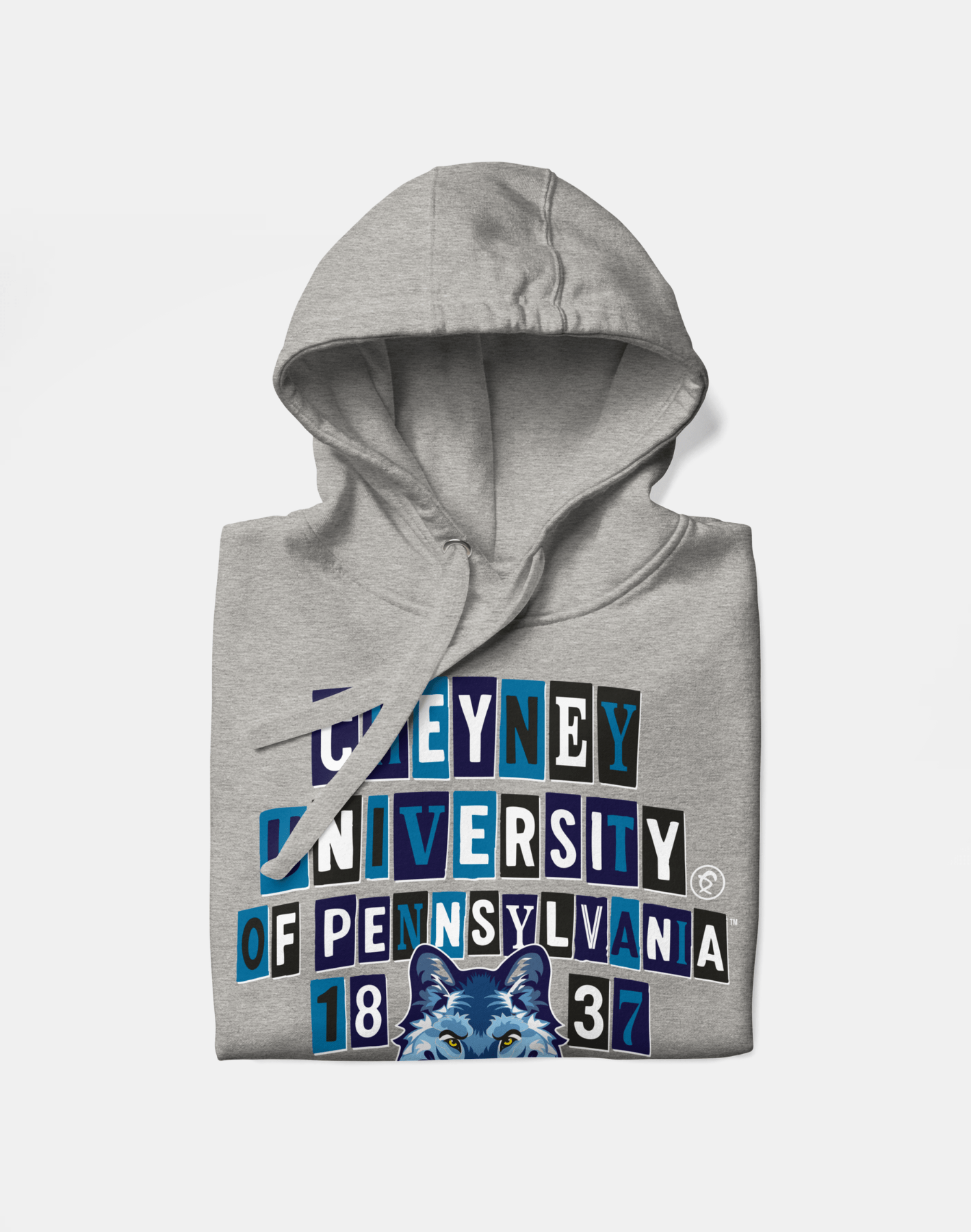 Cheyney University of Pennsylvania - Collage Hoodie