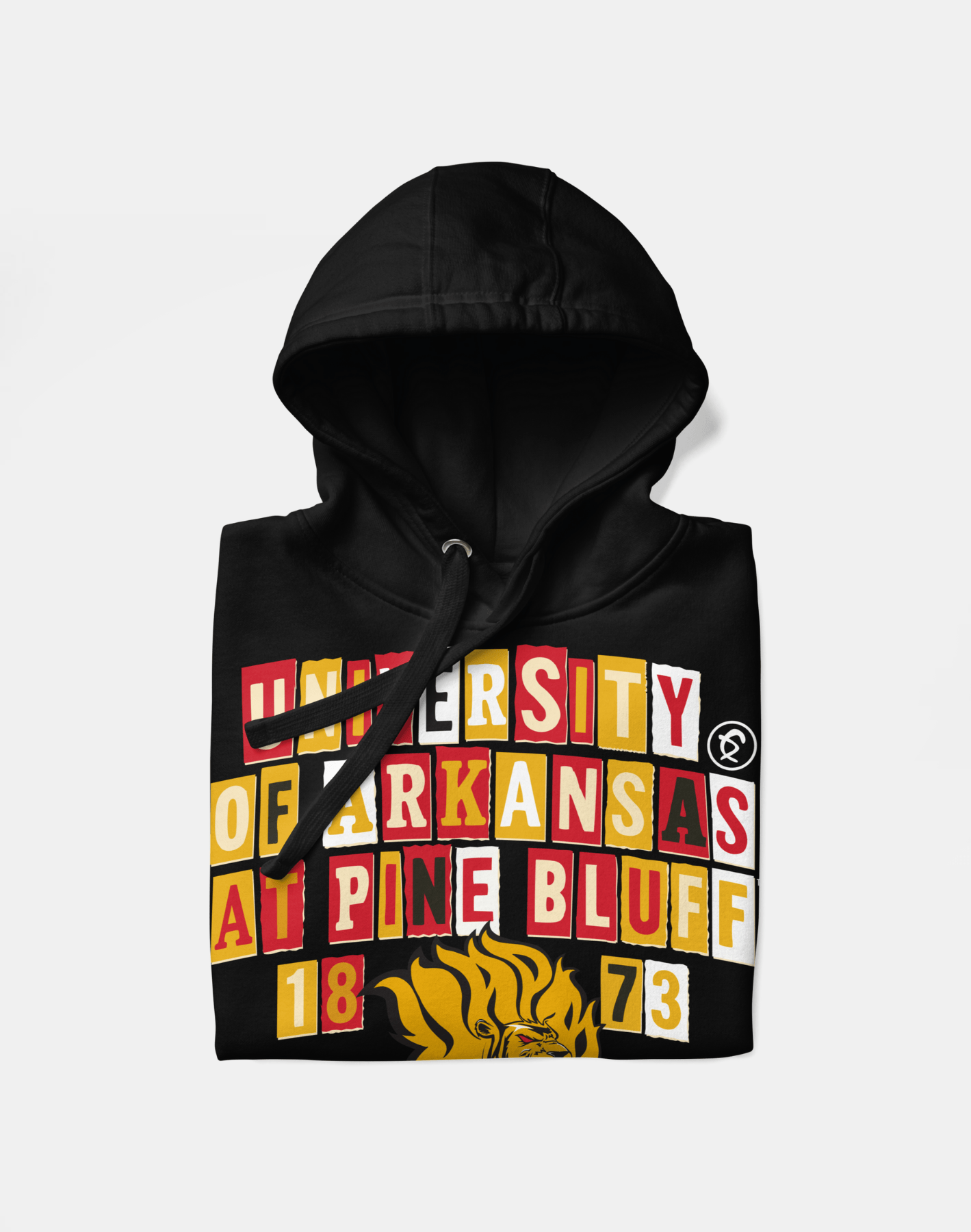 University of Arkansas at Pine Bluff - Collage Hoodie