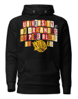 University of Arkansas at Pine Bluff - Collage Hoodie