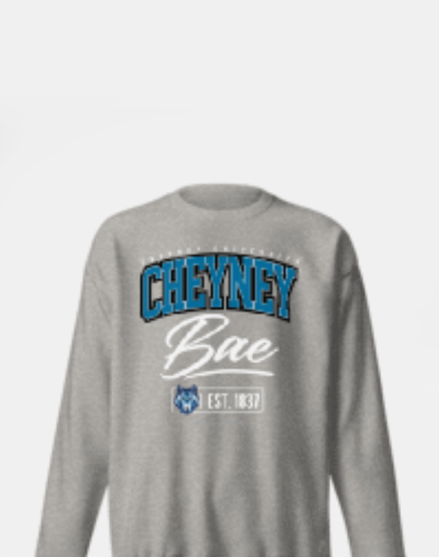 Cheyney University of Pennsylvania (CUP) - The Family - Sweatshirt