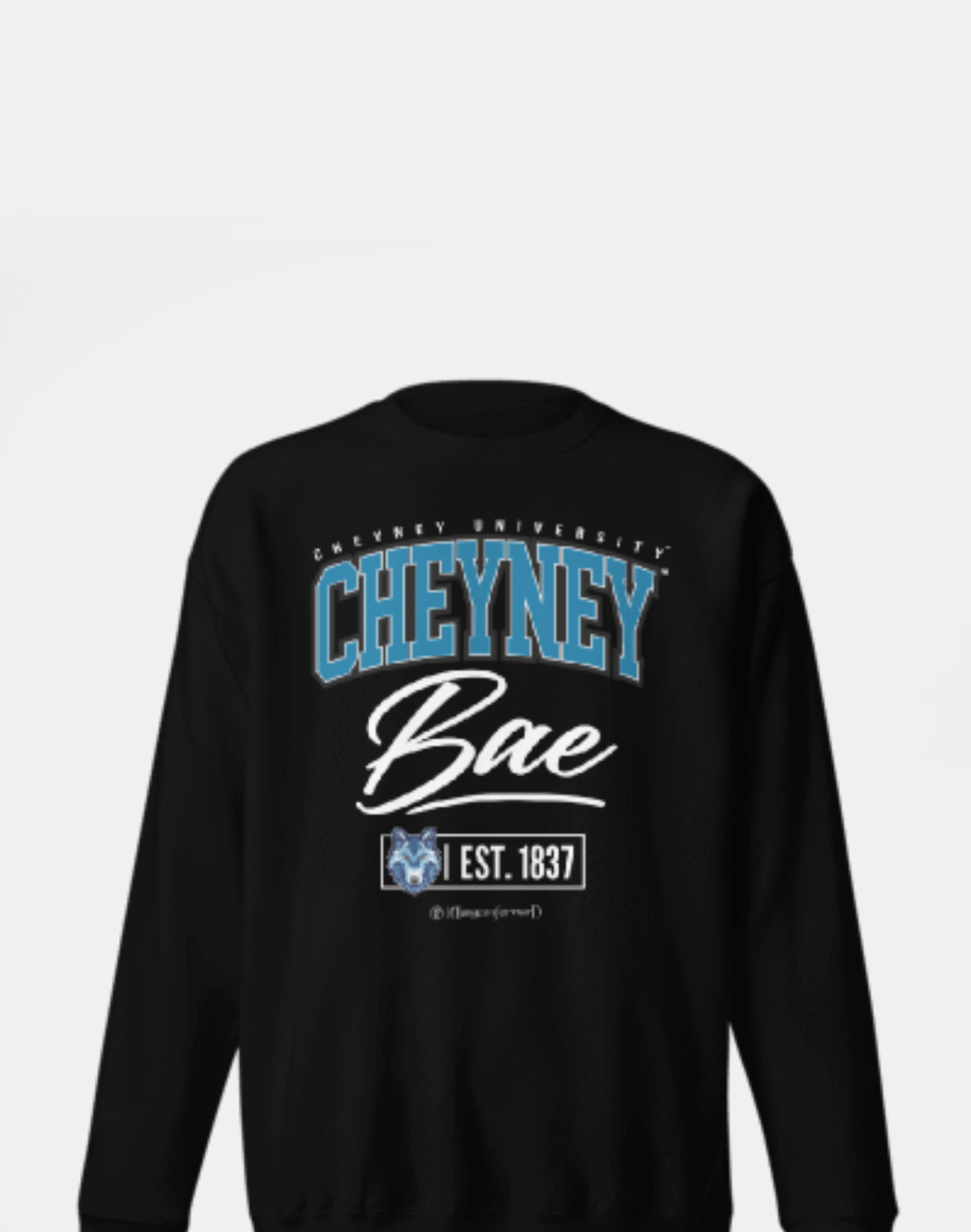 Cheyney University of Pennsylvania (CUP) - The Family - Sweatshirt