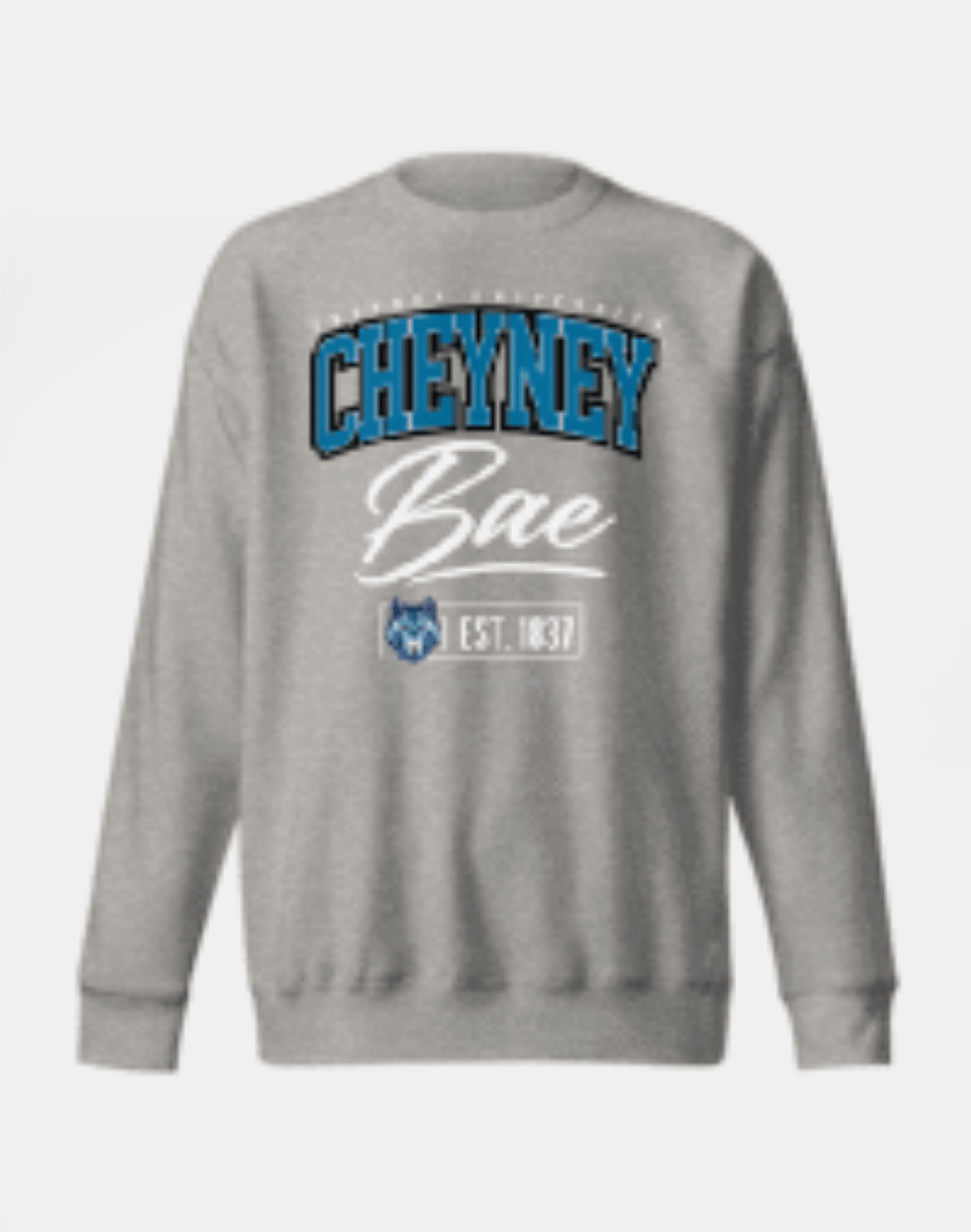 Cheyney University of Pennsylvania (CUP) - The Family - Sweatshirt