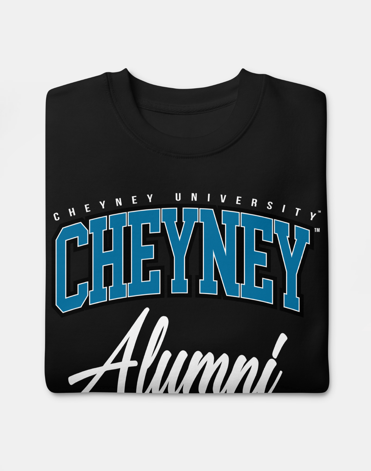 Cheyney University of Pennsylvania (CUP) - The Family - Sweatshirt