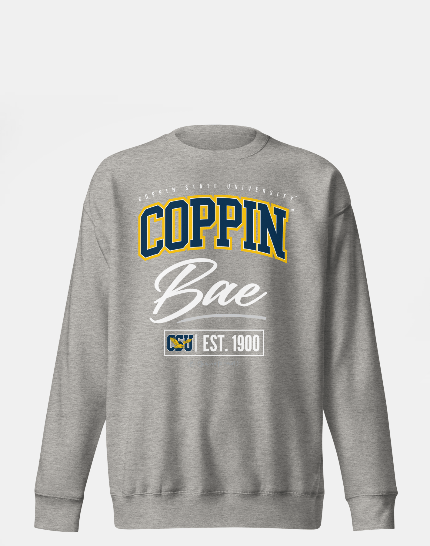 Coppin State University (CSU) - The Family - Sweatshirt