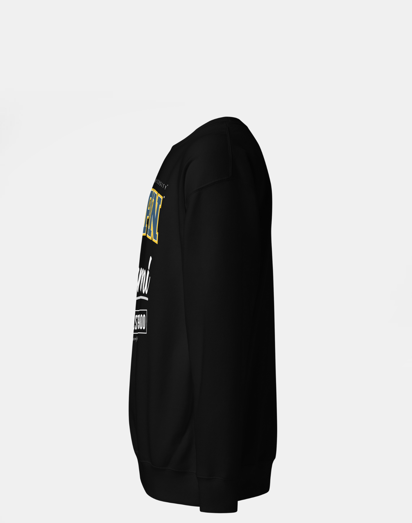 Coppin State University (CSU) - The Family - Sweatshirt