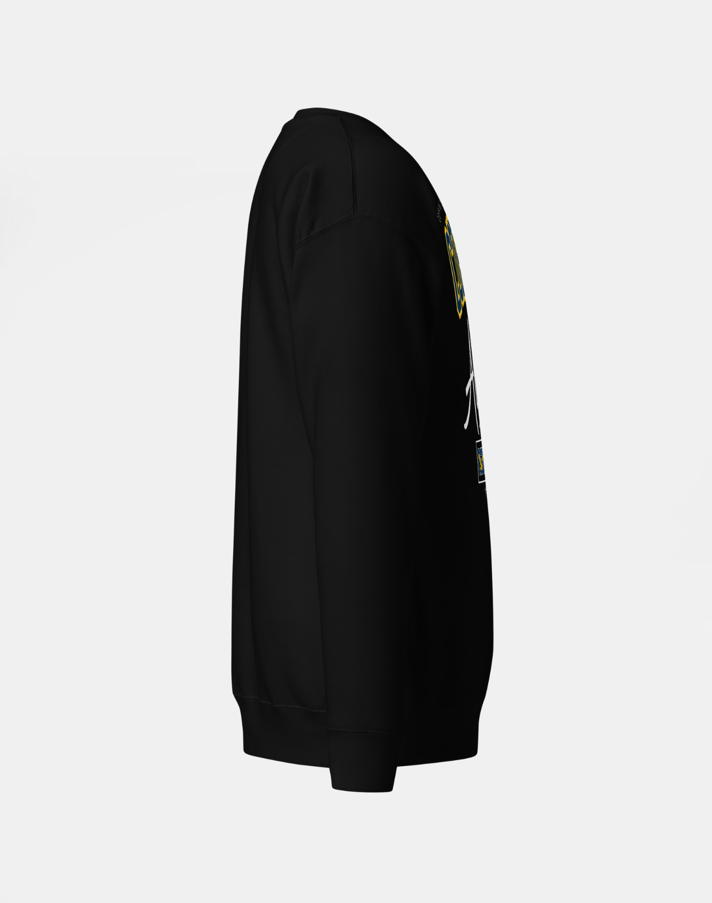Coppin State University (CSU) - The Family - Sweatshirt
