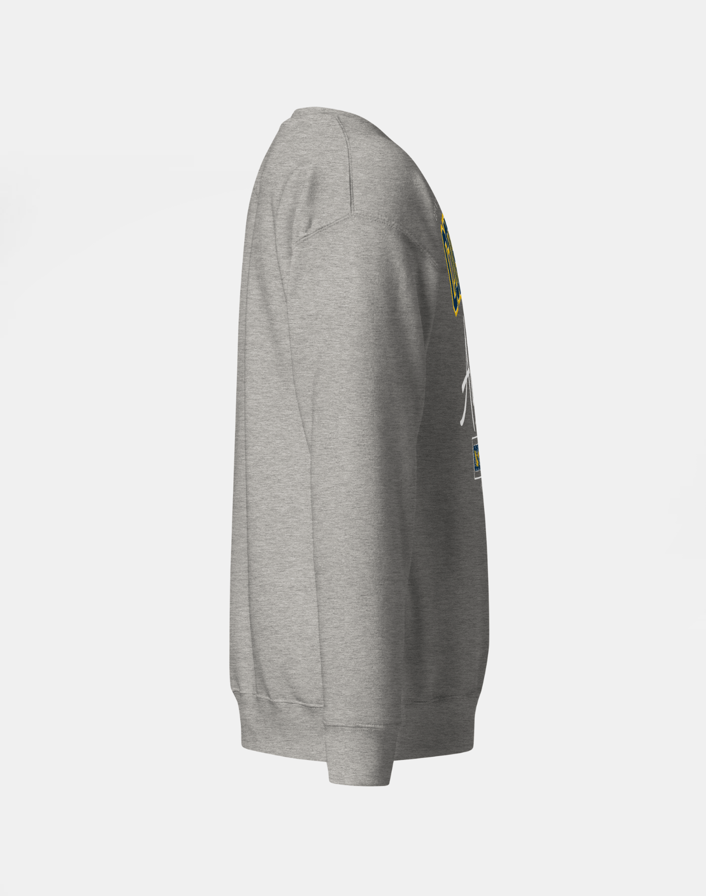 Coppin State University (CSU) - The Family - Sweatshirt