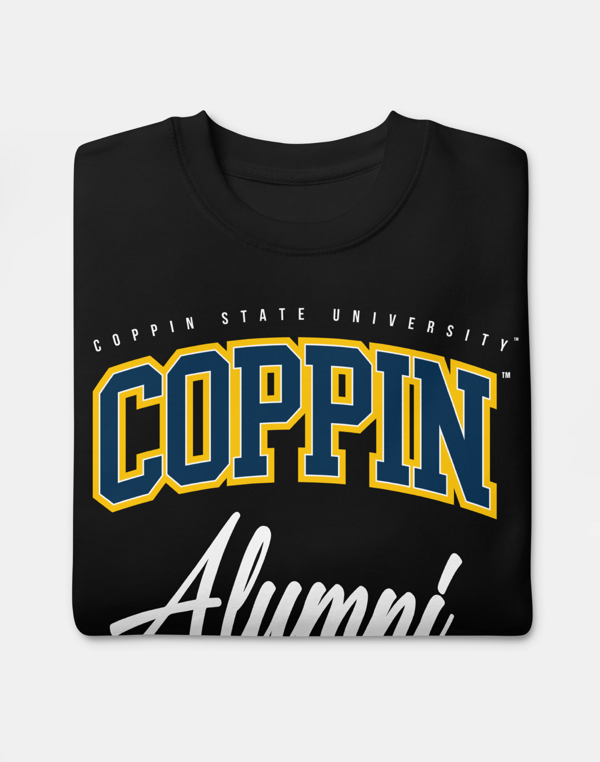 Coppin State University (CSU) - The Family - Sweatshirt