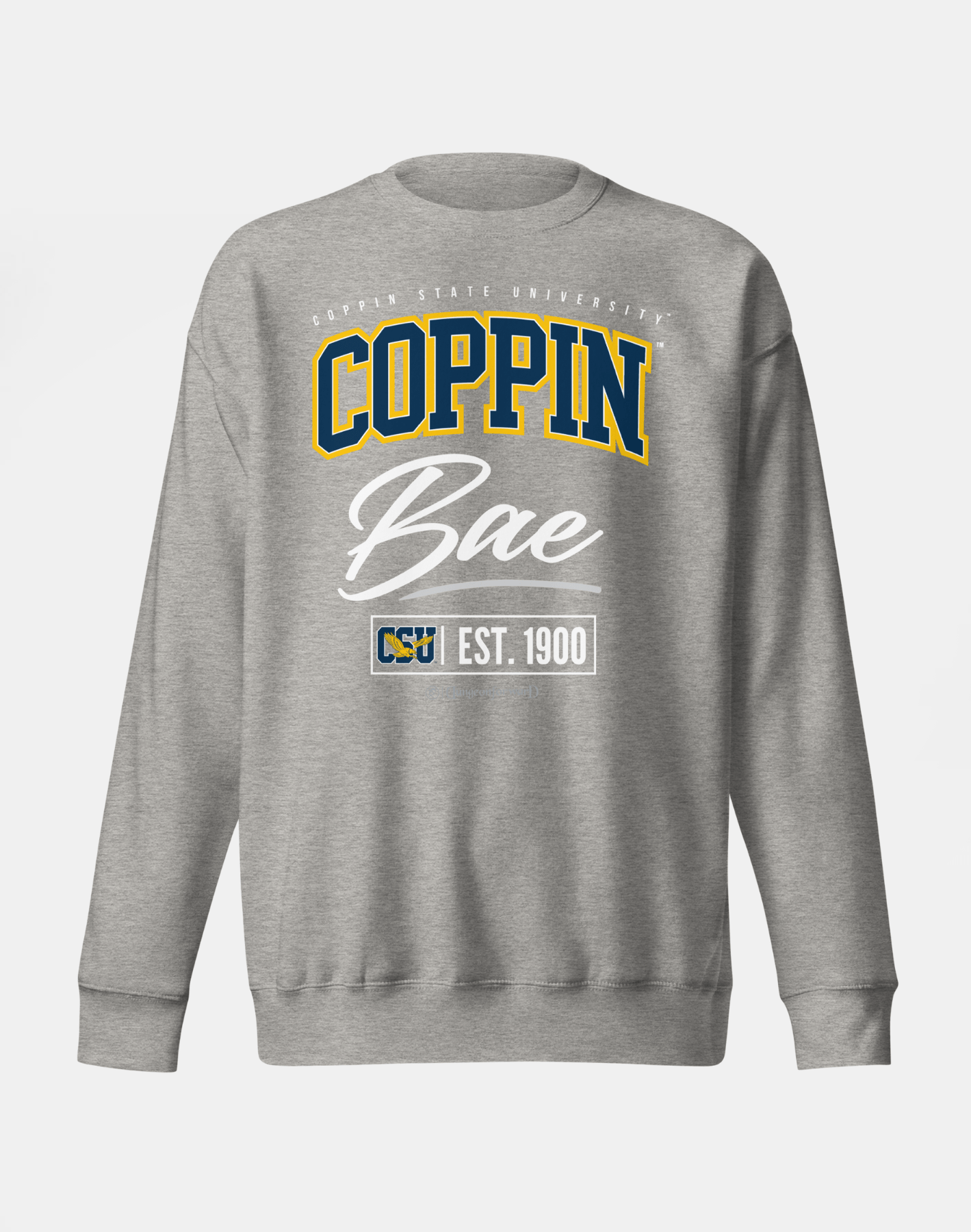 Coppin State University (CSU) - The Family - Sweatshirt
