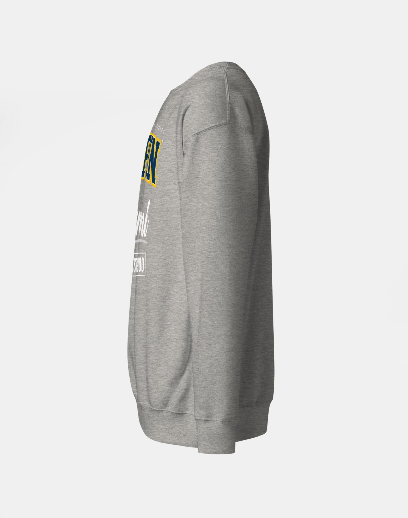 Coppin State University (CSU) - The Family - Sweatshirt