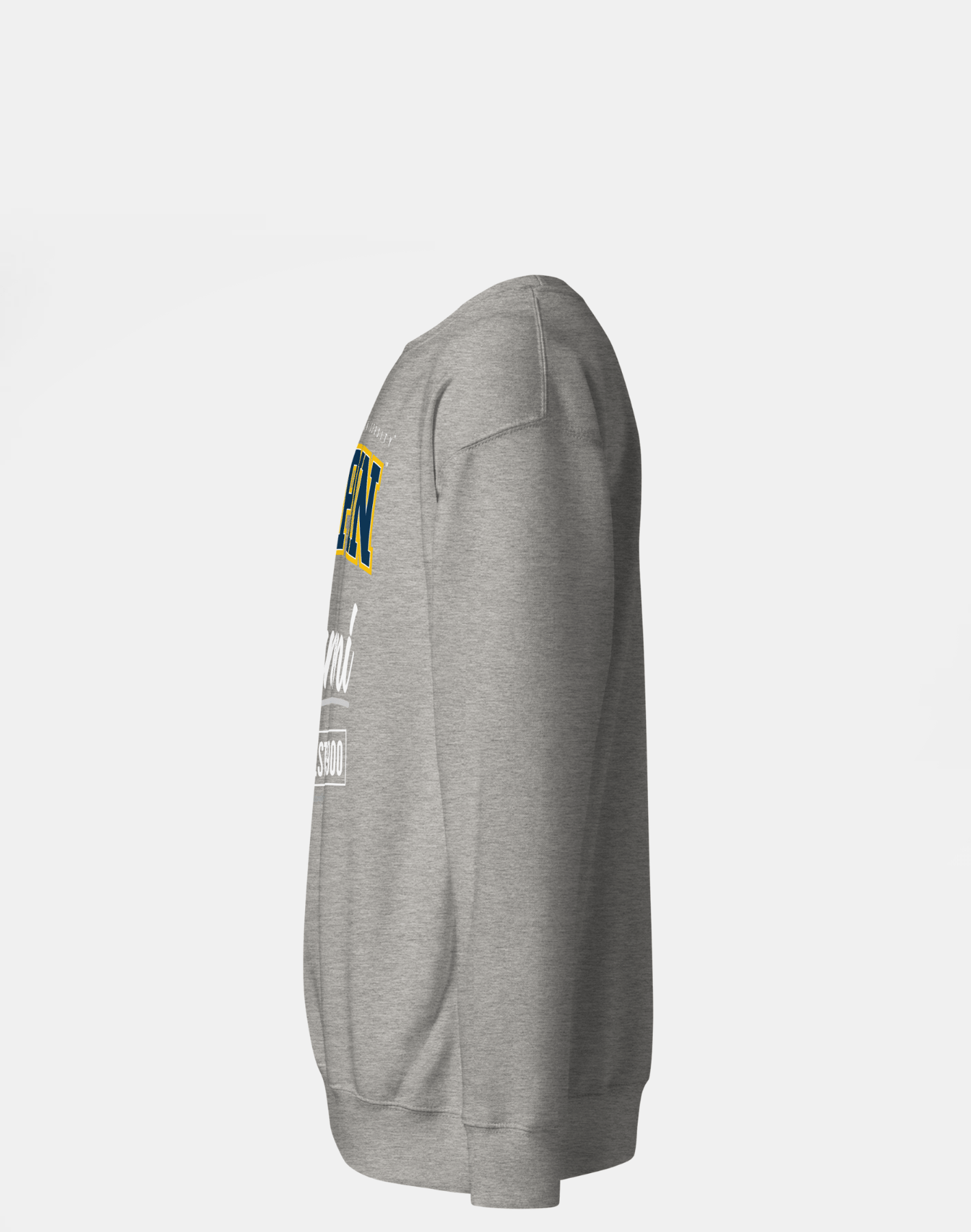 Coppin State University (CSU) - The Family - Sweatshirt