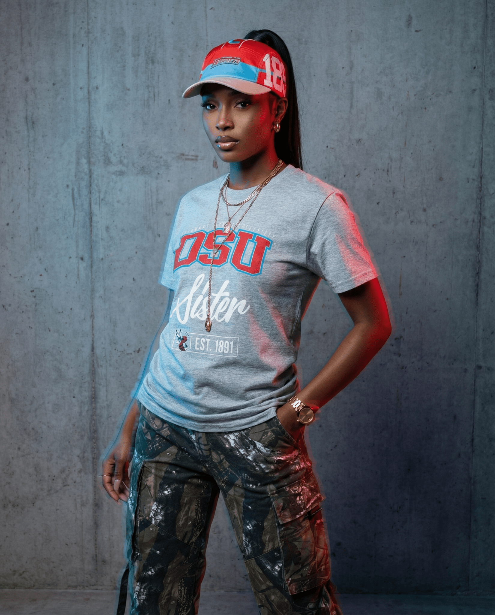 Delaware State University (DSU) - The Family - T-Shirt