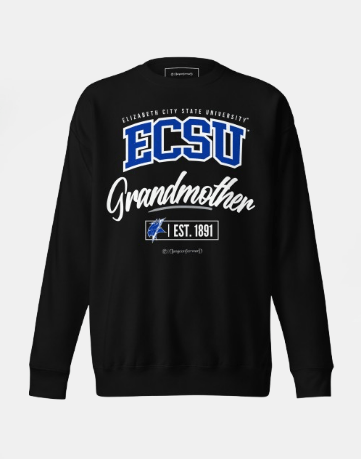 Elizabeth City State University (ECSU) - The Family - Sweatshirt