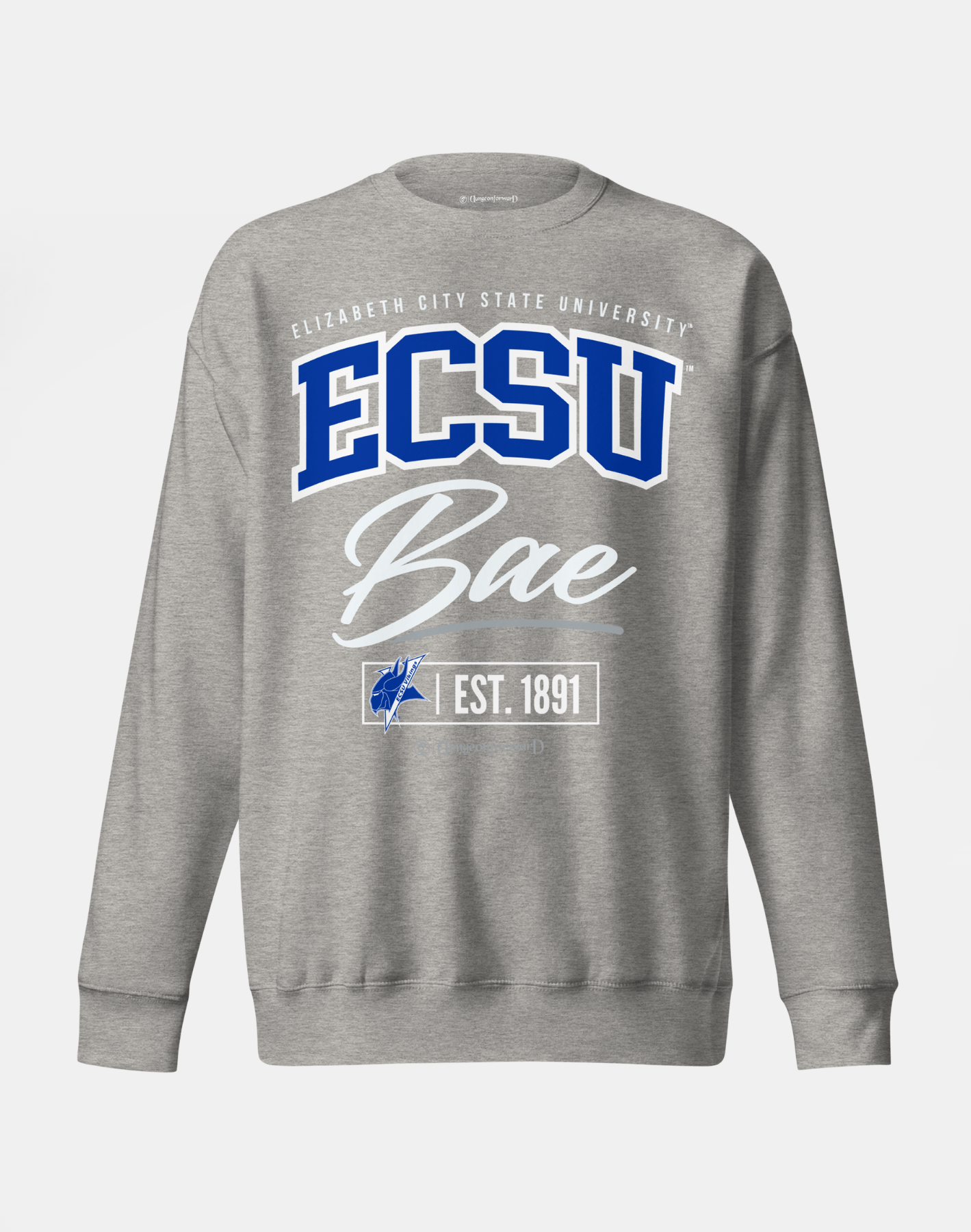 Elizabeth City State University (ECSU) - The Family - Sweatshirt