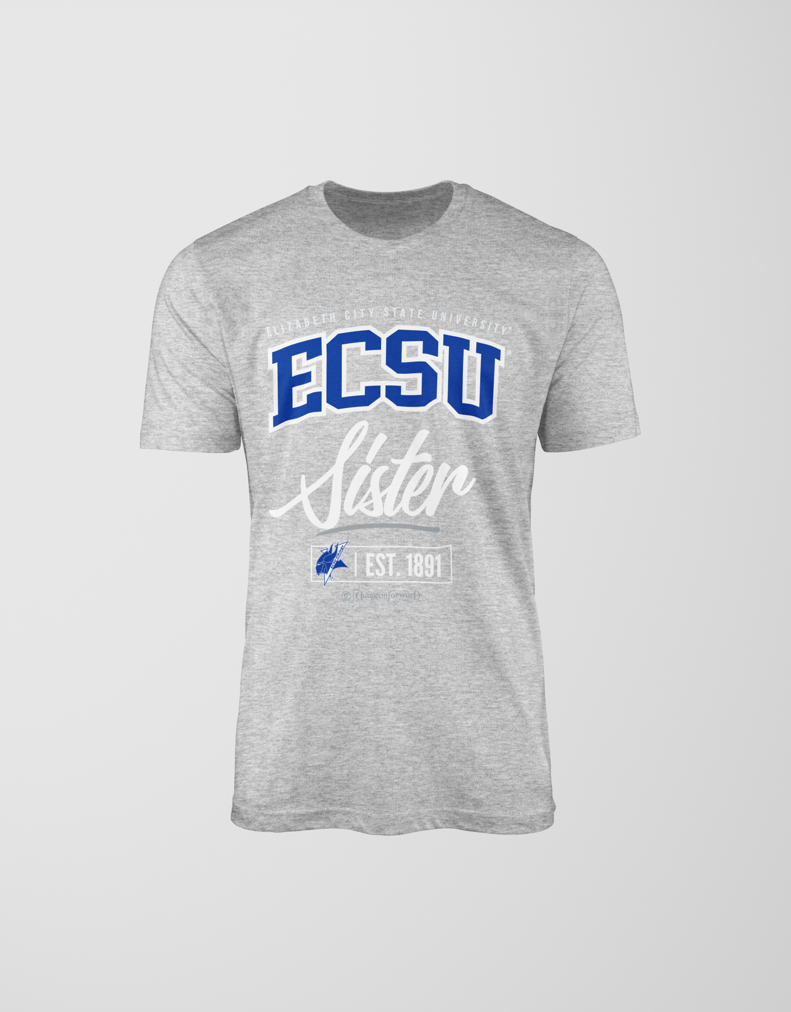 Elizabeth City State University (ECSU) - The Family - T-Shirt
