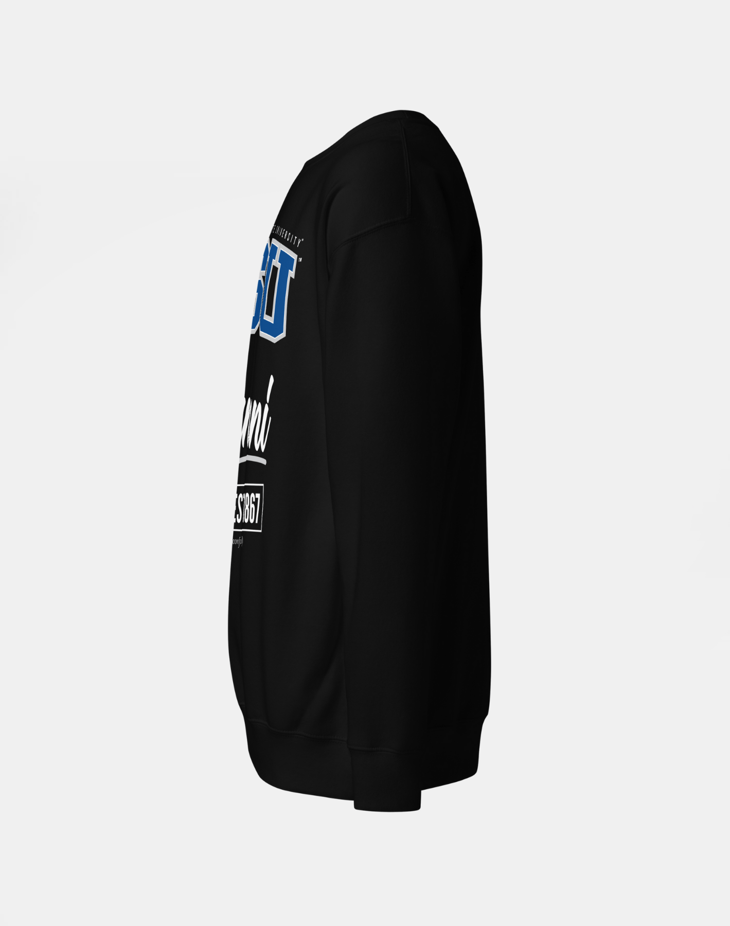 Fayetteville State University (FSU) - The Family - Sweatshirt