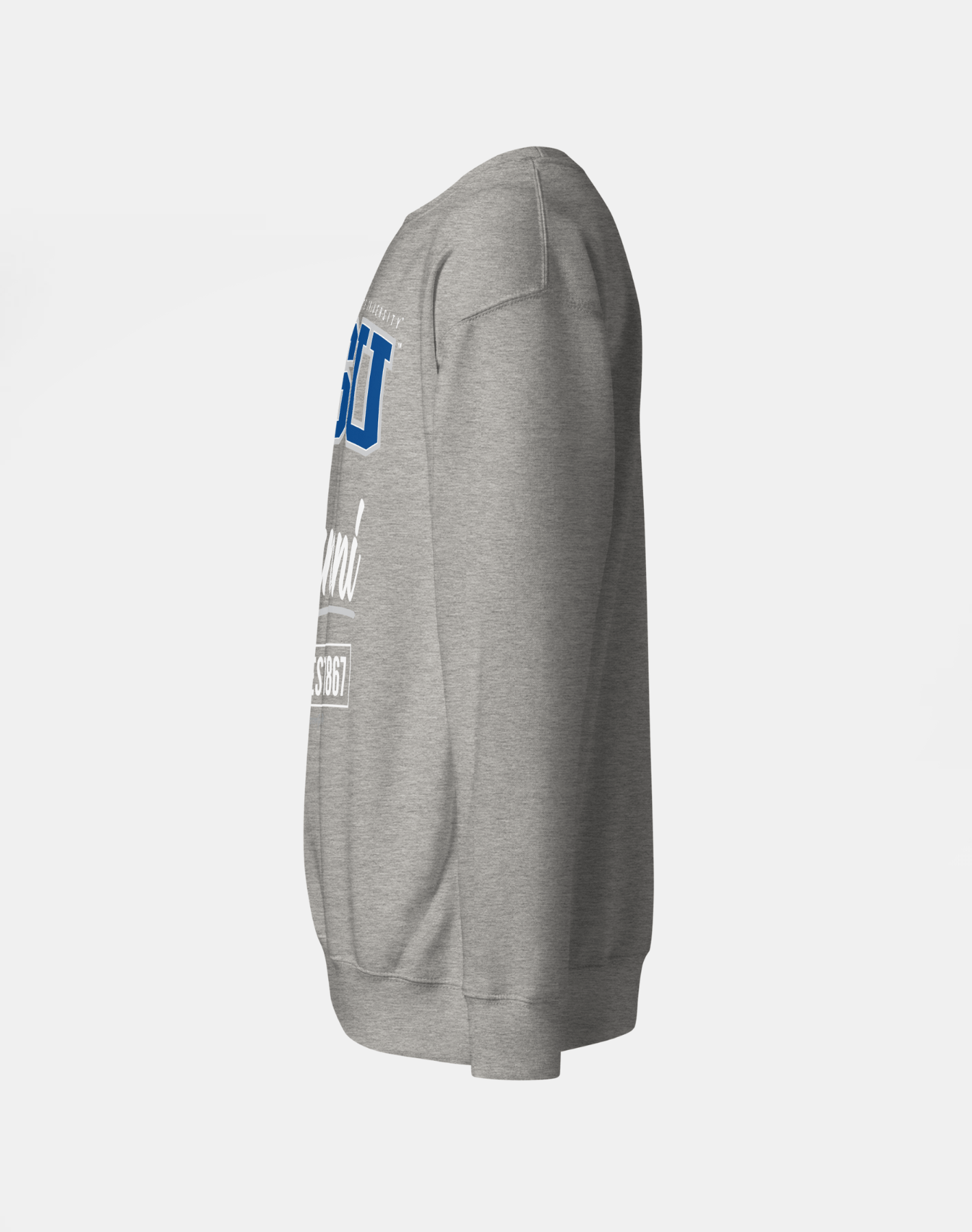 Fayetteville State University (FSU) - The Family - Sweatshirt