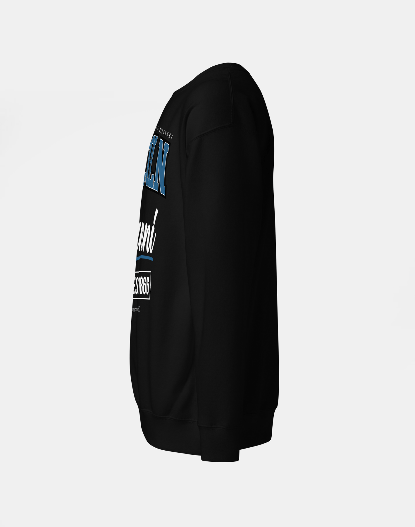Lincoln University (MO) (LUMO) - The Family - Sweatshirt