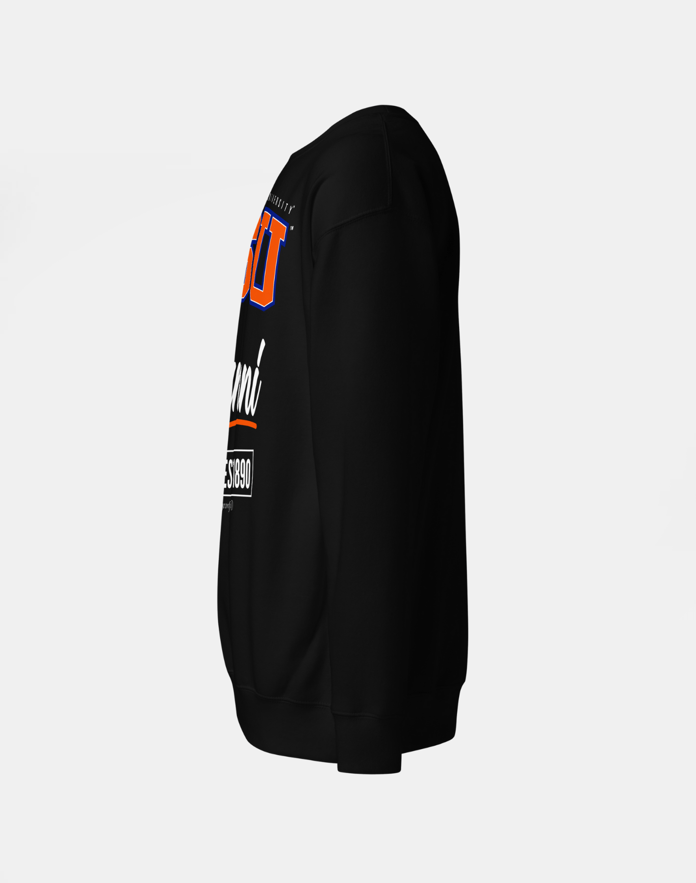 Savannah State University (SSU) - The Family - Sweatshirt