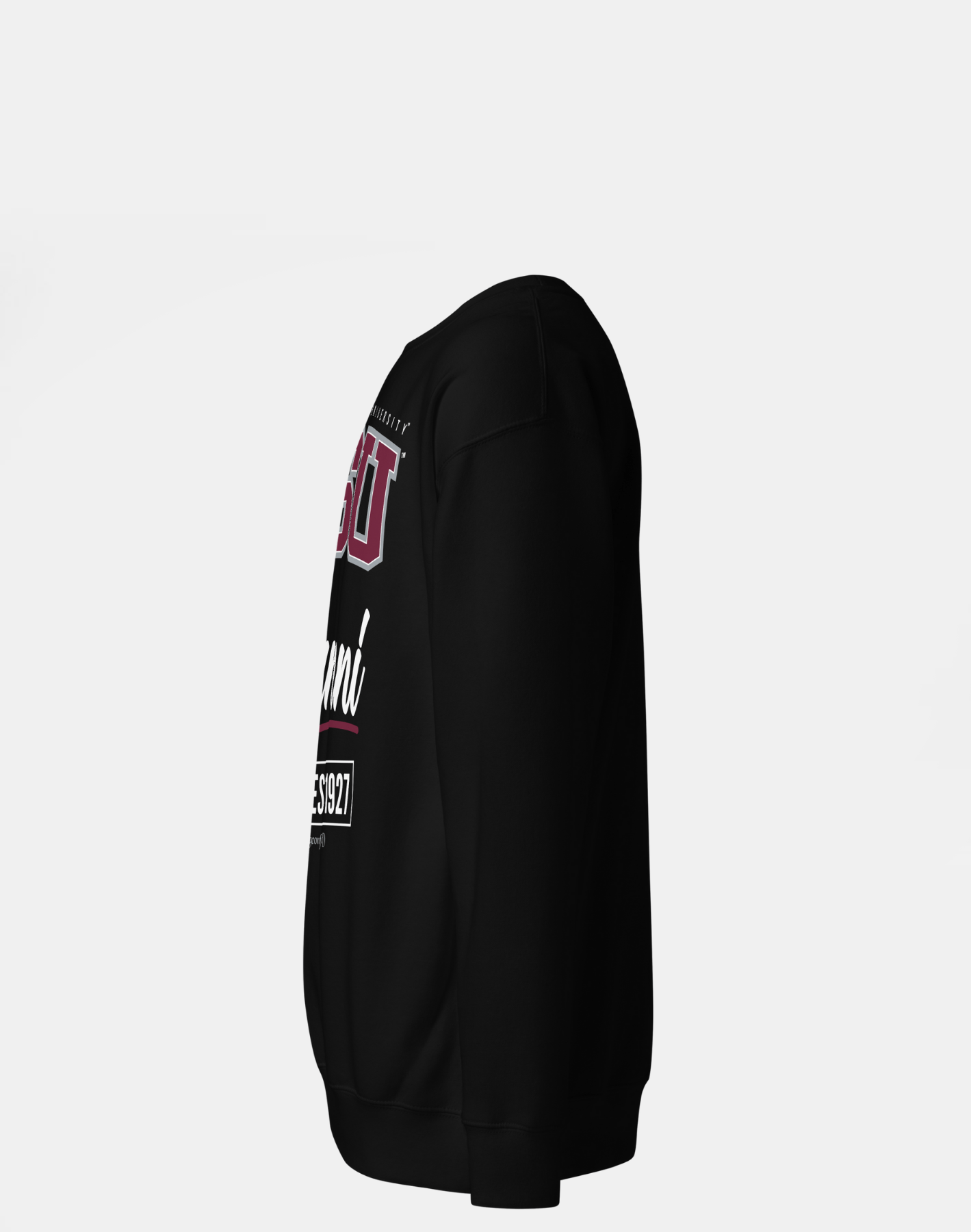 Texas Southern University (TSU) - The Family - Sweatshirt
