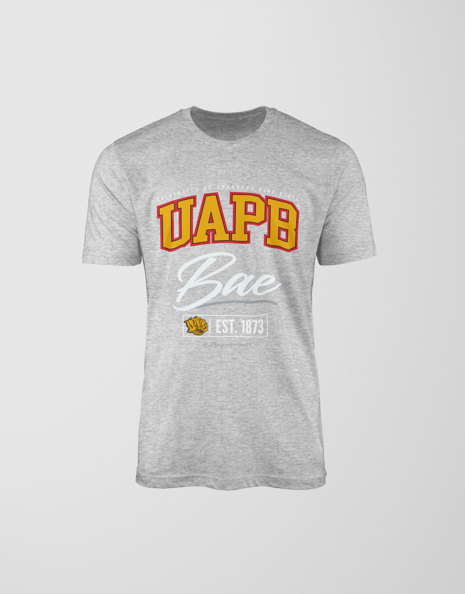 University of Arkansas Pine Bluff (UAPB) - The Family - T-Shirt