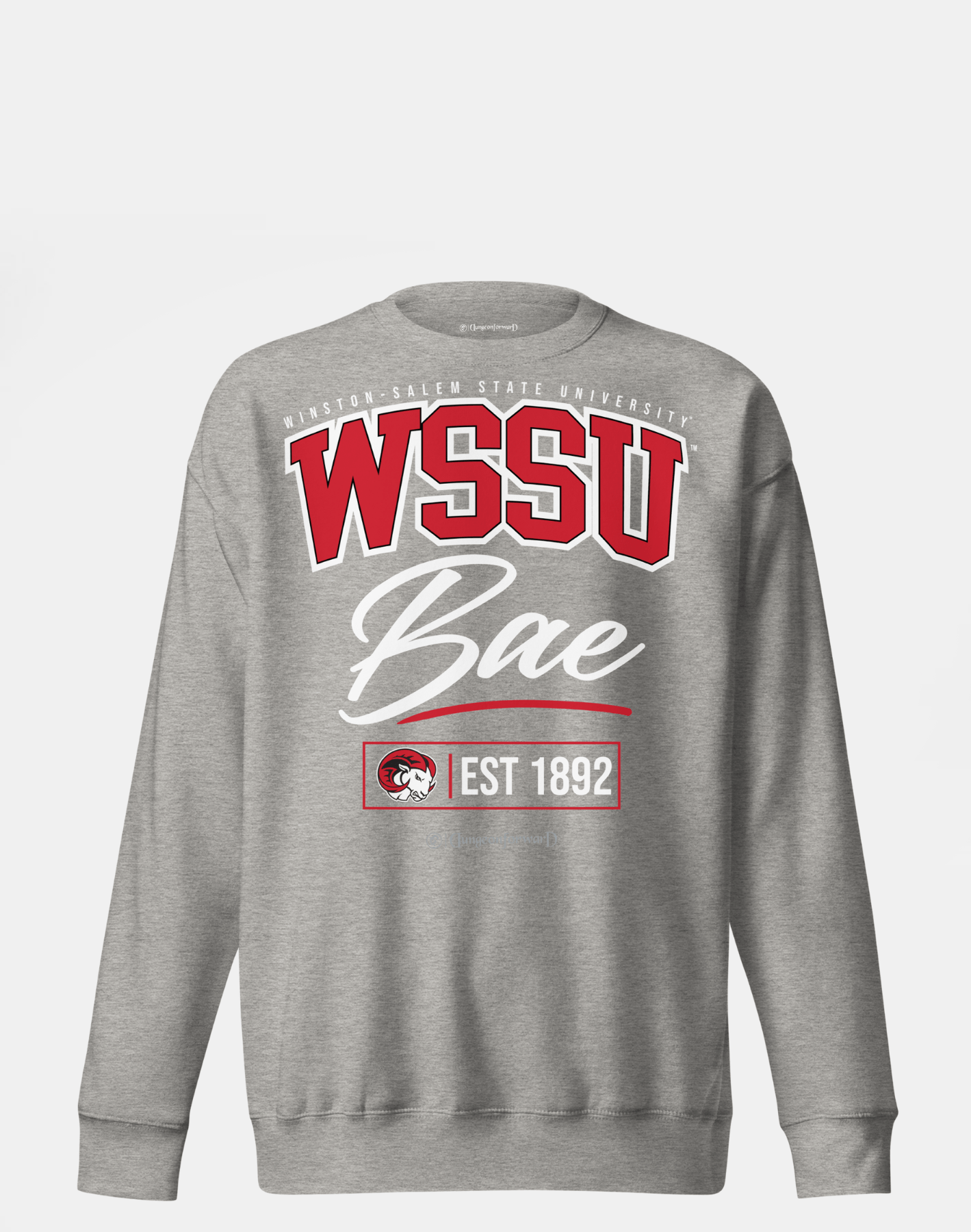 Winston-Salem State University (WSSU) - The Family - Sweatshirt